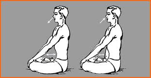 Kapalbhati Pranayama